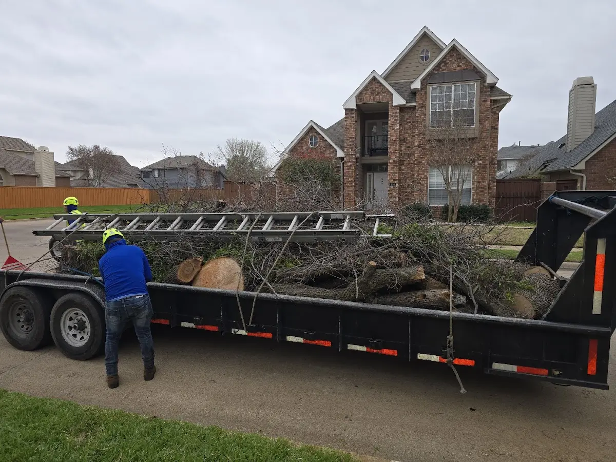 Expert Lot Clearing with proper safety equipment in Grassy Meadows